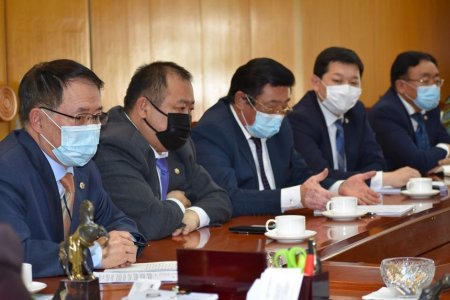 Сонгуулийн үед дагаж мөрдөх тусгайлсан зөвлөмж гаргана