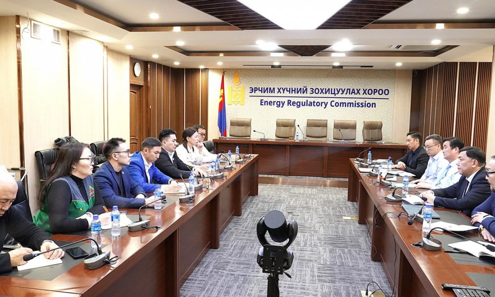 ЭРЧИМ ХҮЧНИЙ ЗОХИЦУУЛАХ ХОРООНЫ ДАРГА Э.ТҮВШИНЧУЛУУН ТЭРГҮҮТЭЙ АЛБАНЫ ХҮМҮҮСТЭЙ УУЛЗАЖ САНАЛ СОЛИЛЦЛОО