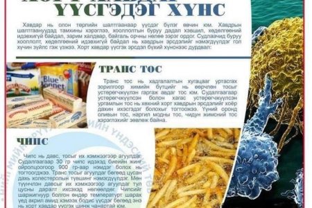 ХОРТ ХАВДАР ҮҮСГЭДЭГ ХҮНС