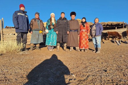 Мал, тэжээвэр амьтад, хашаа худгийн 2024 оны тооллого эхэллээ.