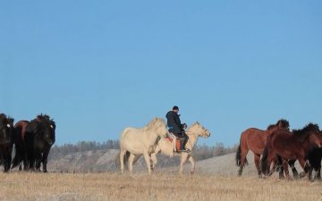 5 их наяд төгрөгийн төсвөөр 50 мянган айлын орон сууц барих боломжтой