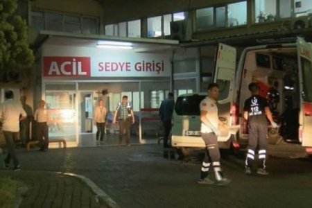  Турк улсад амьдардаг хос биенийхээ аминд хүрчээ