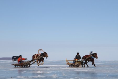 Аялал жуулчлалыг соёлоор дамжуулан хөгжүүлэх нь эдийн засагт үр өгөөжтэй