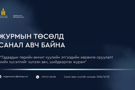 ГАДААДЫН ТӨРИЙН ӨМЧИТ ХУУЛИЙН ЭТГЭЭДИЙН ХӨРӨНГӨ ОРУУЛАЛТ ХИЙХ ХҮСЭЛТИЙГ ХҮЛЭЭН АВЧ, ШИЙДВЭРЛЭХ ЖУРМЫН ТӨСӨЛД САНАЛ АВЧ БАЙНА.
