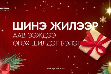 Шинэ жилийн хамгийн үнэ цэнэтэй бэлэг