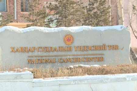 Өнөөдөр хөнгөвчлөх тусламж, үйлчилгээний дэлхийн өдөр тохиож байна