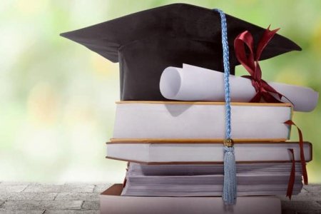 Гадаадын их дээд сургууль, коллежуудын тэтгэлэгт хөтөлбөрт тэнцэхийн тулд юу бэлдэж, юун дээр анхаарах шаардлагатай вэ?