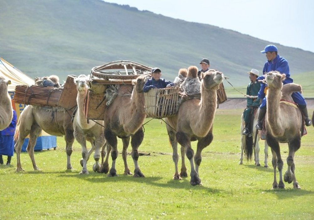Бид “Бэлчээр ба нүүдлийн мал аж ахуй эрхлэгчдийн олон улсын жил” (IYRP) 2026 санаачилгыг дэмжиж ирсэн