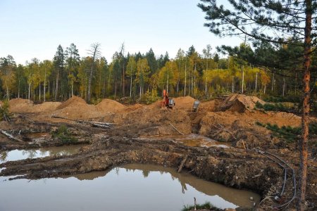 Хууль бус алт олборлолтыг зогсоов