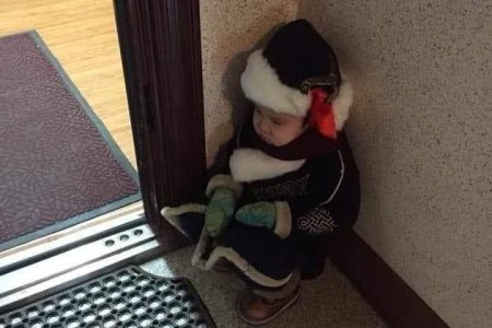 Нэгэн зургийн түүх: Үрс юу хүснэ вэ?