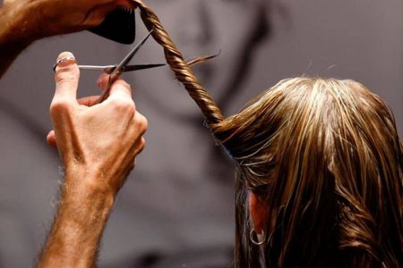 Байгаль орчноо хамгаалах зорилгоор Бельги улсад хүний үсийг дахин боловсруулж эхэлжээ