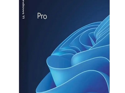 Microsoft Windows 11 Pro (One-time purchase for PC)