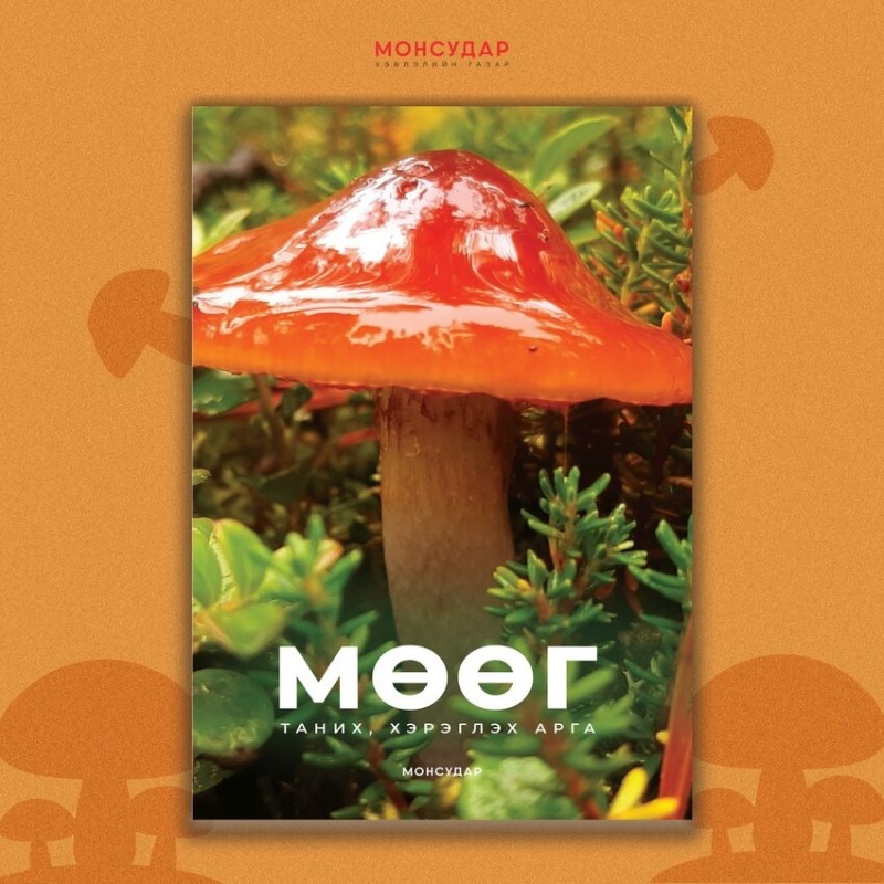 Мөөг: Таних, хэрэглэх арга