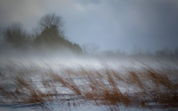 Салхи шуургатай үед малаа хол бэлчээхгүй, холын замд гарахгүй байхыг ОБЕГ-аас анхаарууллаа