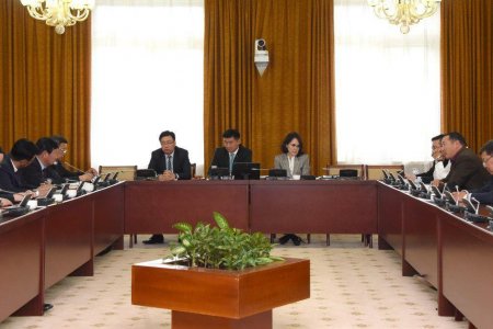 ТББХ:Ерөнхийлөгчийн хоригийг хүлээн авлаа
