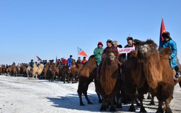 ГОВИЙН БҮСИЙН ТЭМЭЭЧДИЙН БАЯР ЖИНСТ СУМАНД БОЛЛОО 