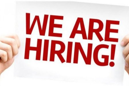 Vacancy announcement for Program Assistant 