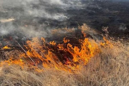 Дорнодод хээрийн түймэр гарчээ