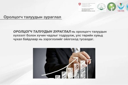Online training 4: NGO strategic management/ТББ-ын стратегийн менежмент