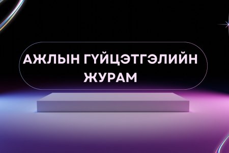 Ажлын гүйцэтгэлийн журам