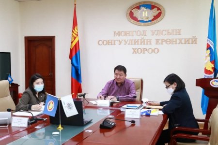 Олон улсын шинжээчид сонгуульд ажиглалт хийнэ