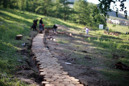 Дугуй цагаан орчмыг ойн цэвэрлэгээнээс гарсан моддыг ашиглан тохижуулж байна