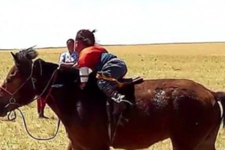 Хоёр настай хүүхдээр моринд уралдуулсан эцгийг 100 хүртэл мянган төгрөгөөр торгожээ