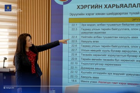 ЭДИЙН ЗАСАГ, ХӨГЖЛИЙН ЯАМ БОЛОН ХӨГЖЛИЙН БАНКНЫ АЛБА ХААГЧДАД 