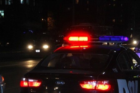 Цагаан сарын баярын өдрүүдэд согтуугаар тээврийн хэрэгсэл жолоодсон зөрчил өнгөрсөн оны мөн үеэс 57.6 хувиар буурчээ
