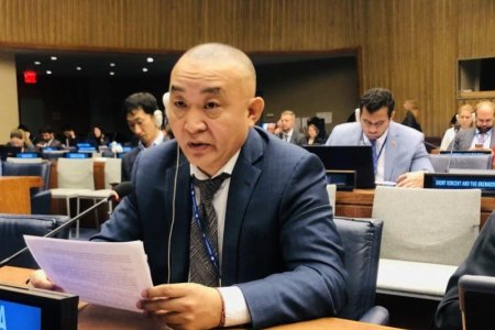 НҮБ-ын Ерөнхий Ассамблейн 74 дүгээр чуулганы Нэгдүгээр хорооны Ерөнхий санал шүүмжлэлд үг хэлэв