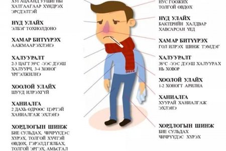 Томуу төст өвчин улсын хэмжээний дэгдэлтийн түвшинд хүрчээ