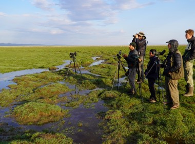 Spring bird watching tour with Ornis Birding Expeditions. 
