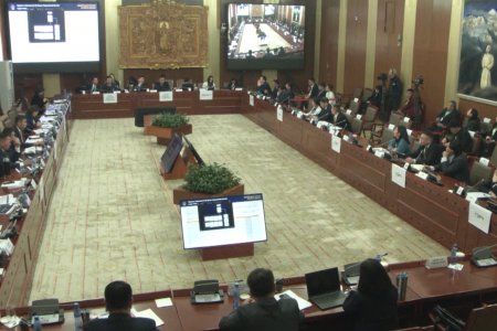 Гаалийн бүрдүүлэлтгүй нүүрс гадагш гаргасан байж болзошгүй компаниудын улс төрийн хамааралтай хүмүүсийг нэрлэлээ