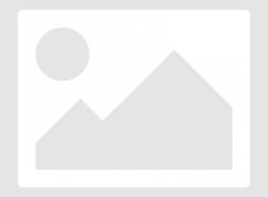Newsletter-10