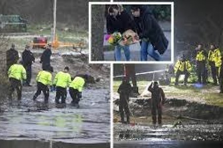 Их Британийн Солихалл хотын нуурын хөлдсөн усанд гурван хүүхэд унаж, энджээ