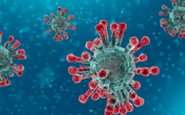 Их британийн судлаачид биеийн байдал нь хүндэрсэн 