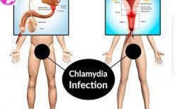 ХЛАМИДЫН ХАЛДВАР