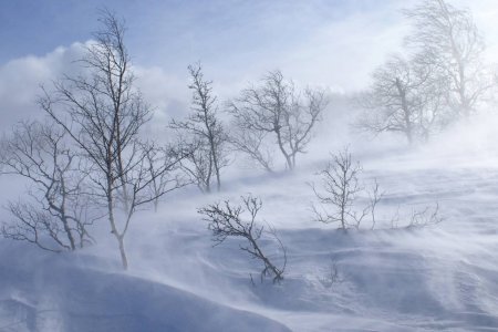ОБЕГ: Маргааш, нөгөөдрөөс ихэнх нутгаар цас орж хүйтрэнэ 