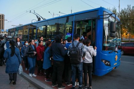 Оюутнууд нийтийн тээвэрт 50 хувийн хөнгөлөлттэй эрхээр үйлчлүүлнэ