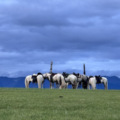 Khovsgol Horse Trek