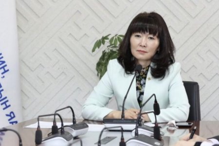 БОАЖ-ЫН САЙД Н.УРТНАСАН АЗИЙН ХӨГЖЛИЙН БАНКНЫ СУУРИН ТӨЛӨӨЛӨГЧ ПАВИТ РАМАЧАНДРАНТАЙ ЦАХИМ УУЛЗАЛТ ХИЙЛЭЭ