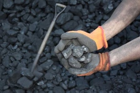 Түүхий нүүрсний хэрэглээнд хяналт шалгалт хийлээ