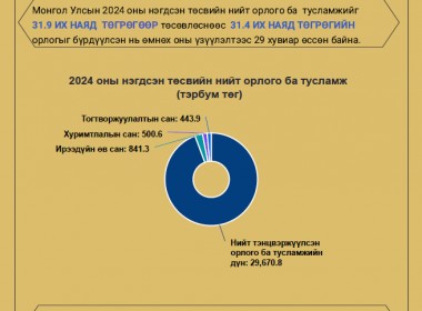 2024 оны нэгдсэн төсвийн гүйцэтгэлийн аудитын тайлангаас