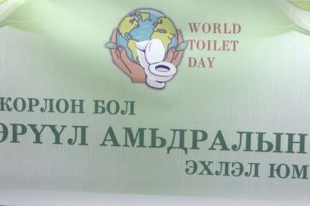 Нүхэн жорлонгоос шалтгаалж хөрсний бохирдол үүсэж, иргэдийн дунд цусан суулга өвчлөлийн тоо ч нэмэгджээ