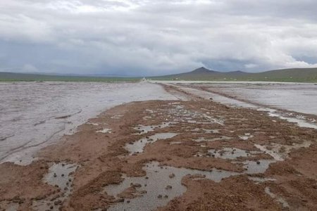 Токио-Улаанбаатар чиглэлийн зорчигчдын тээшийг олгож эхэллээ