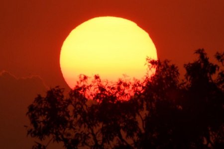 Австрали улс энэ долоо хоногт түүхэнд байгаагүй хэт халалттайгаа нүүр тулах төлөвтэй байна