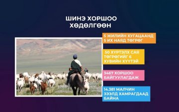 Малчин: Өнгөрөгч 6-р сард хоршоо байгуулан зээлд хамрагдах хүсэлт өгсөн ч одоог хүртэл шийдвэрлэгдээгүй байна