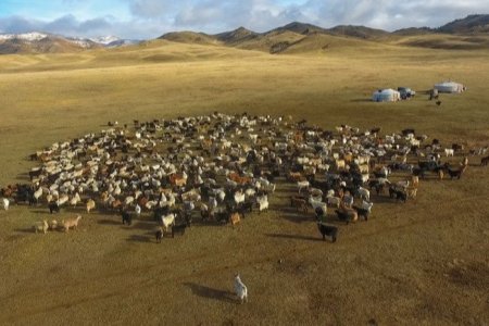 8.4 САЯ ТОЛГОЙ МАЛЫГ ОТРООР ӨВӨЛЖҮҮЛЖ, ХАВАРЖУУЛАХ ТӨЛӨВЛӨГӨӨТЭЙ БАЙНА