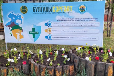 Байгууллагын гадна талбайг цэцэгсээр гоёлоо