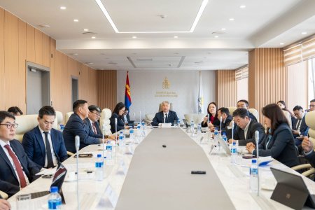 Төрийн хяналт шалгалтын тогтолцоог боловсронгуй болгох үүрэг бүхий Ажлын хэсгийн хуралдаан боллоо
